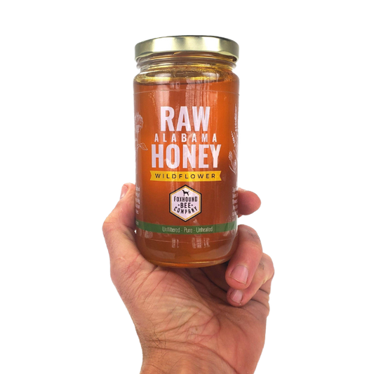 Hand holding a jar of Raw Alabama Honey with a white background